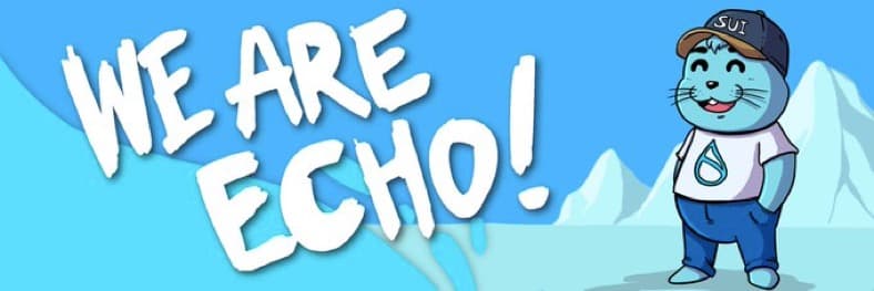 We Are Echo Banner preview